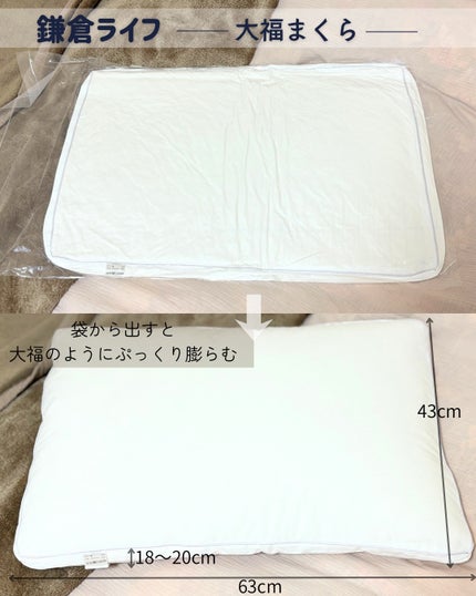 大福まくら/鎌倉ライフ/その他を使ったクチコミ(2枚目)