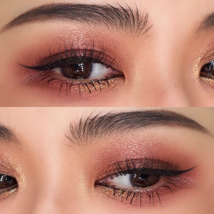 エクスプローラ12色 動物アイシャドウパレット/PERFECT DIARY/アイシャドウパレットを使ったクチコミ(2枚目)