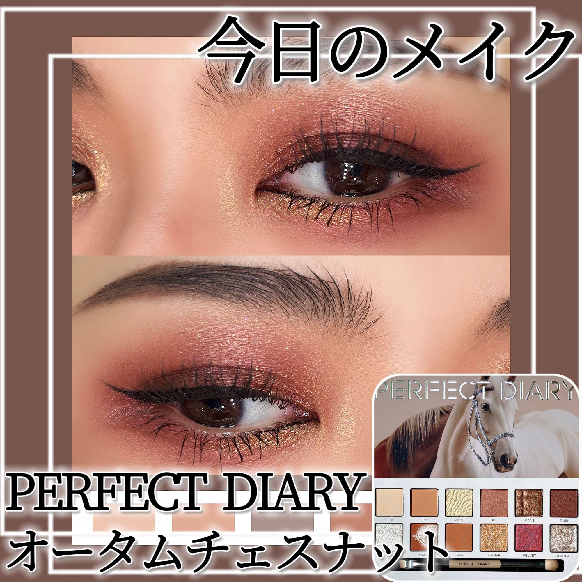 エクスプローラ12色 動物アイシャドウパレット オータムチェスナット/PERFECT DIARY/アイシャドウパレットを使ったクチコミ（1枚目）