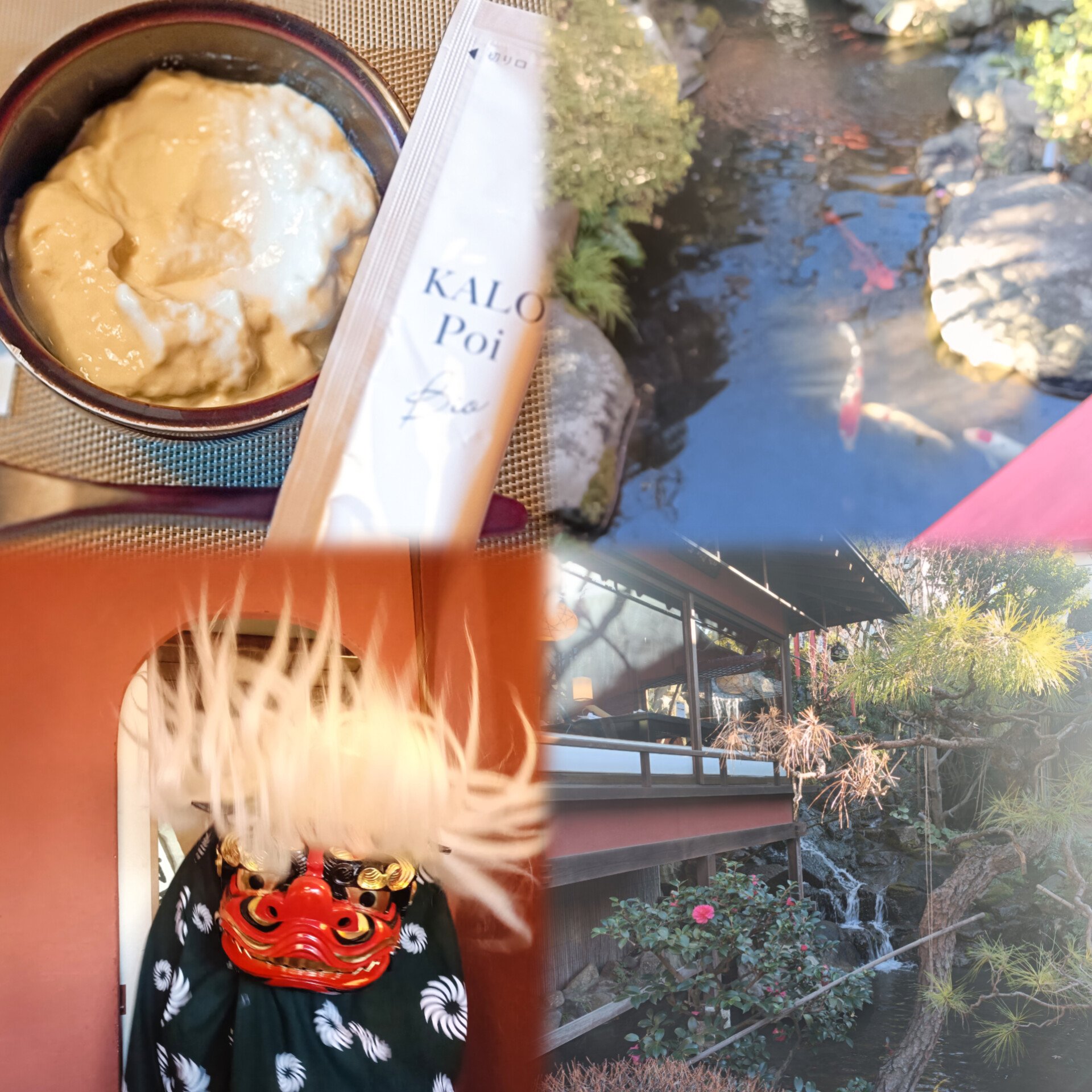 #PR
#カロポイちゃれんじ

義両親さんと新年のお食事会。

獅子舞がお部屋にも来てくれました！
素敵な時間を過ごすことができて感謝。

今年もカロポイでヘルシーな1年になりますように。



