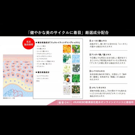 カネボウ ジェネレイティング エッセンシャルズ/KANEBO/化粧水を使ったクチコミ(8枚目)