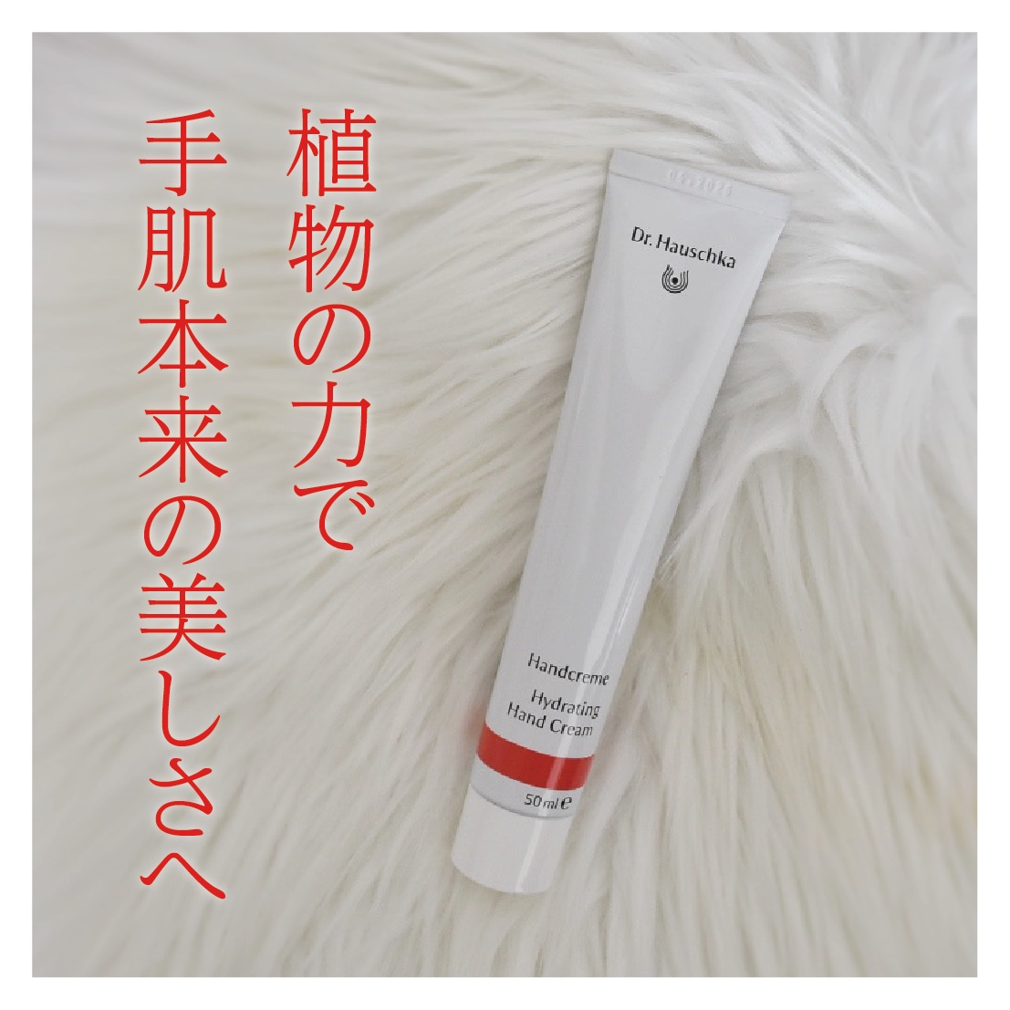 ハンドクリーム/ドクターハウシュカ　/ハンドクリームを使ったクチコミ（1枚目）