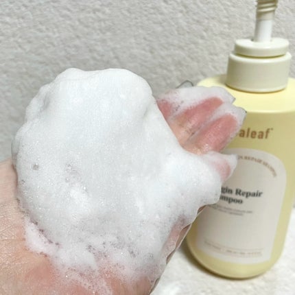 ã䜿ã£ãã¯ãã³ãïŒ3æç®ïŒ