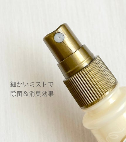 ルジャンジェ 携帯用ファブリックミスト/ラボン/その他を使ったクチコミ(2枚目)