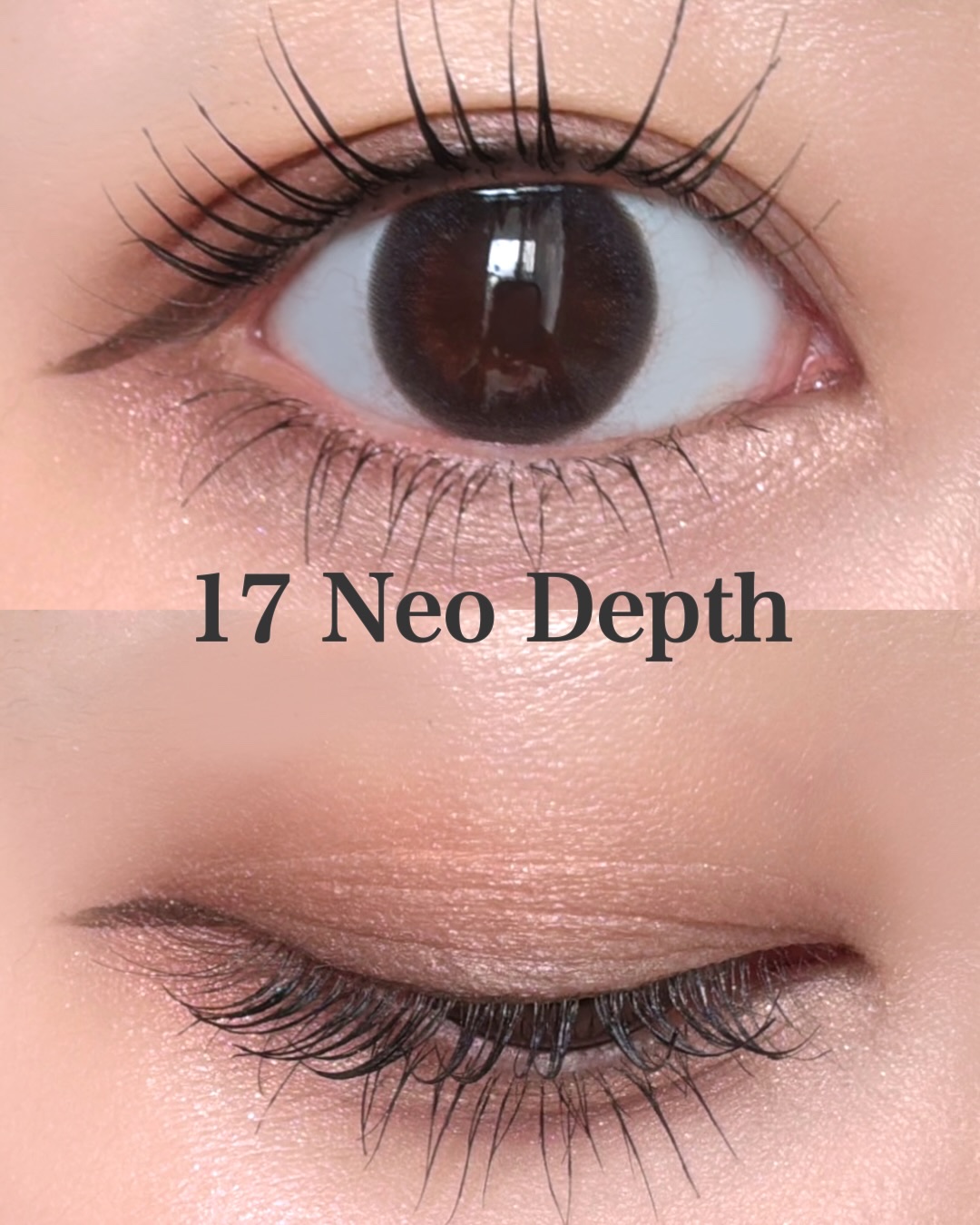 ルナソル アイカラーレーションN/LUNASOL/アイシャドウパレットを使ったクチコミ（3枚目）