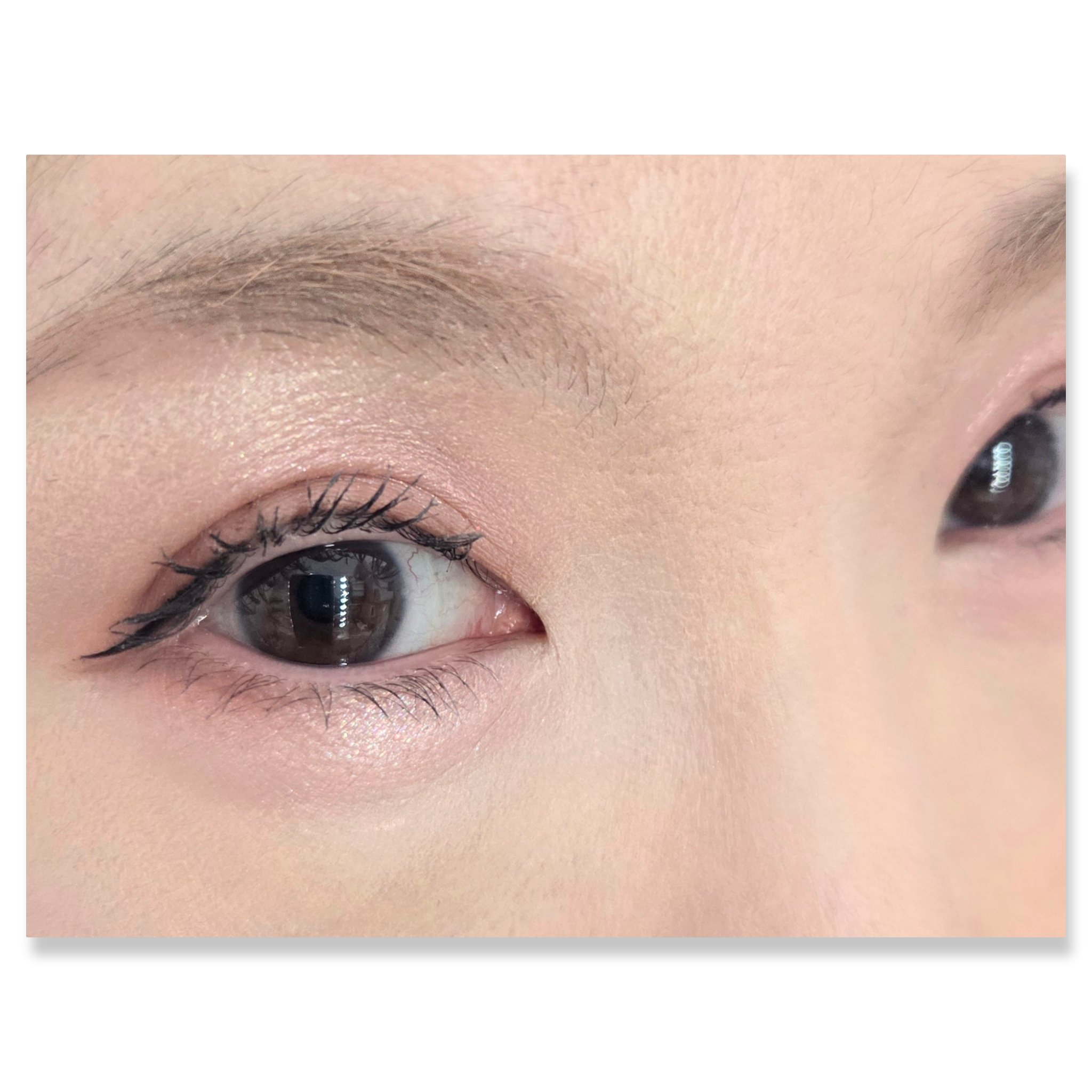 ベターザンパレット/rom&nd/アイシャドウパレットを使ったクチコミ（2枚目）