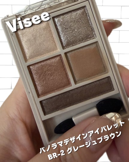 パノラマデザイン アイパレット/Visée/アイシャドウパレットを使ったクチコミ(2枚目)