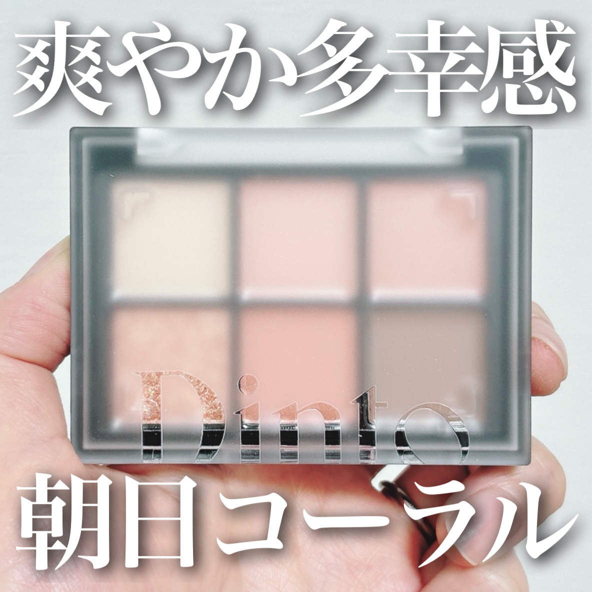 ブラーフィニシュシャドウパレット/Dinto/アイシャドウパレットを使ったクチコミ（1枚目）