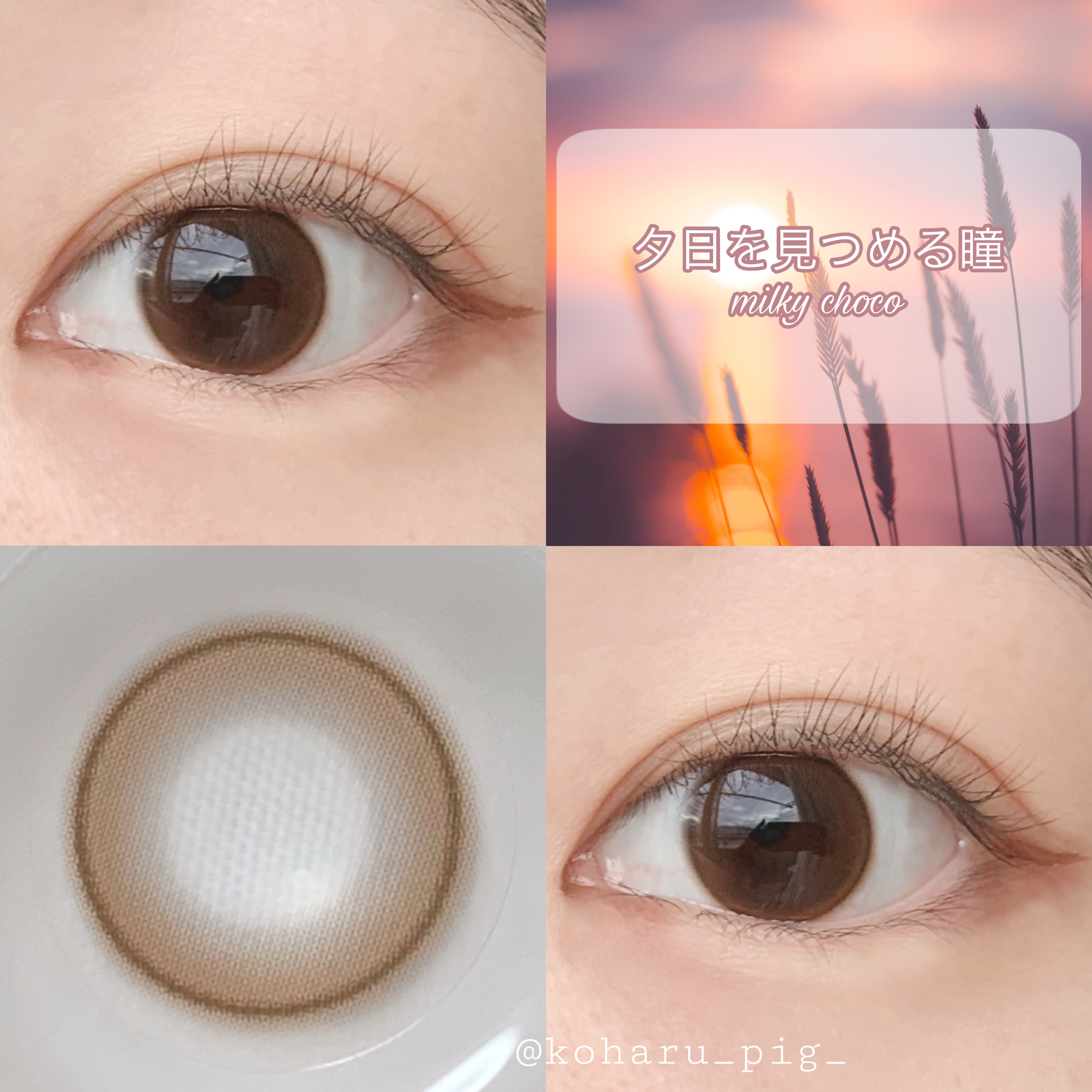 ShineTouch 1day ミルキーチョコ/OLENS/ワンデー（１DAY）カラコンを使ったクチコミ（1枚目）