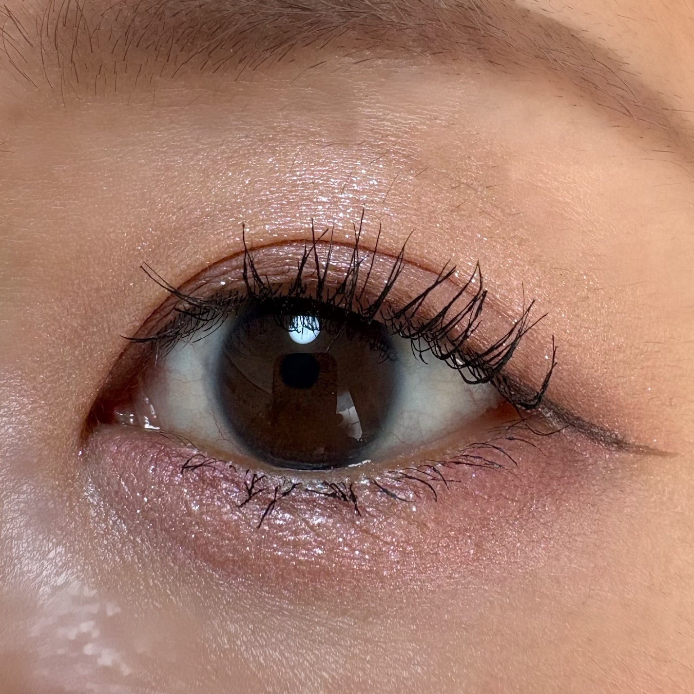 エテュセ カラーパレット スペシャル エディション/ettusais/アイシャドウパレットを使ったクチコミ(4枚目)