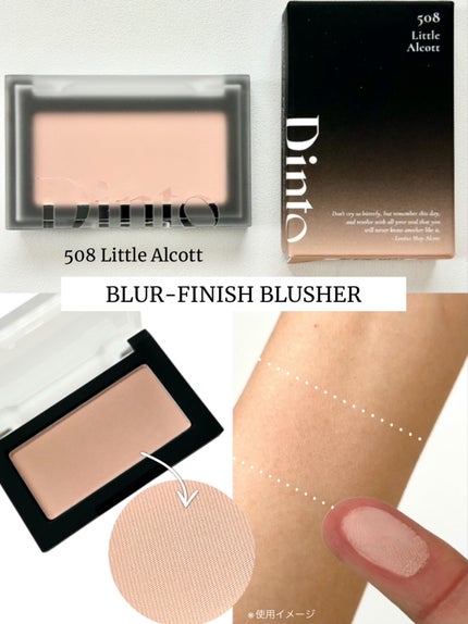 ブラーフィニシュシャドウパレット/Dinto/アイシャドウパレットを使ったクチコミ(5枚目)