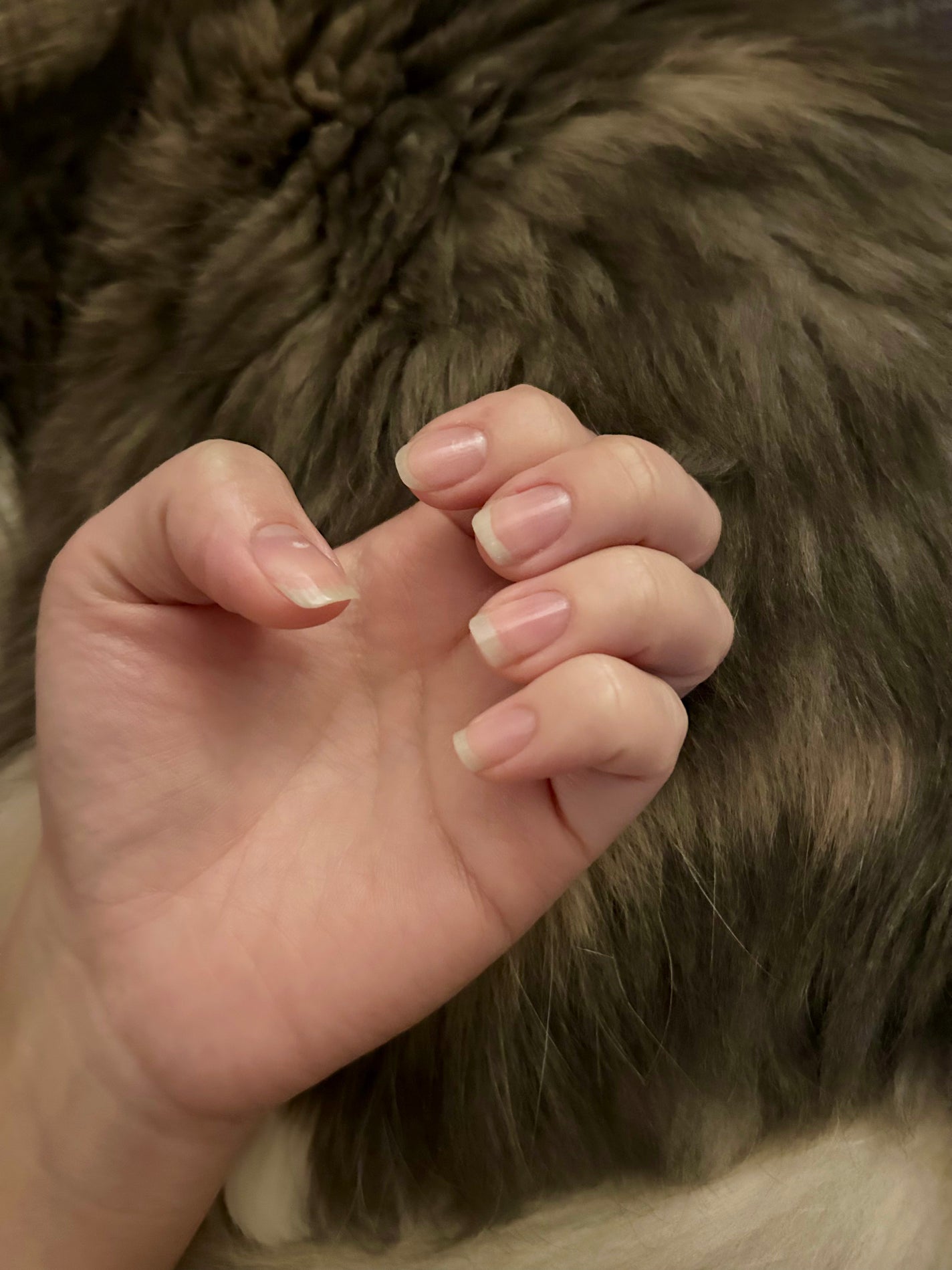 ネイルエンビー/O・P・I/ネイルオイル・トリートメントを使ったクチコミ(2枚目)