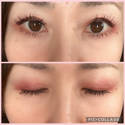 エクスプローラ12色 動物アイシャドウパレット/PERFECT DIARY/アイシャドウパレットを使ったクチコミ(3枚目)