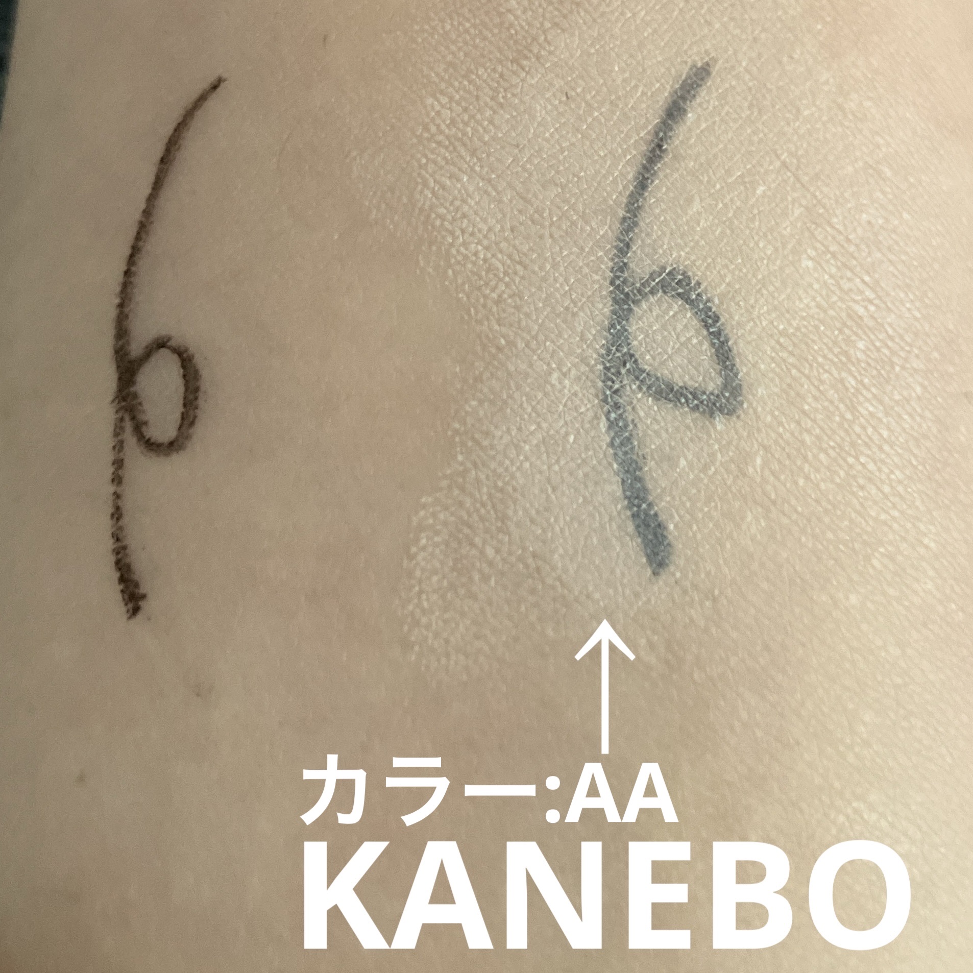 ライブリースキン　ウェア/KANEBO/クリーム・エマルジョンファンデーションを使ったクチコミ（2枚目）