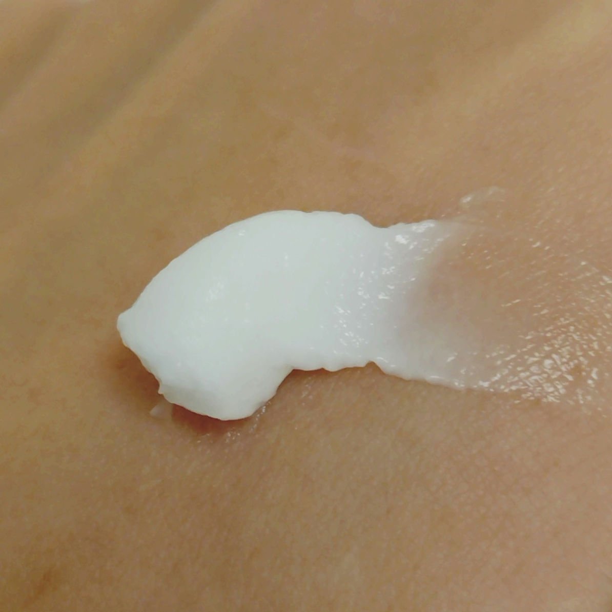 復活草クリーム ニュートリションチューブ/Abib /フェイスクリームを使ったクチコミ（2枚目）