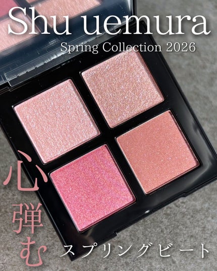 アイスカルプト/shu uemura/アイシャドウパレットを使ったクチコミ(1枚目)