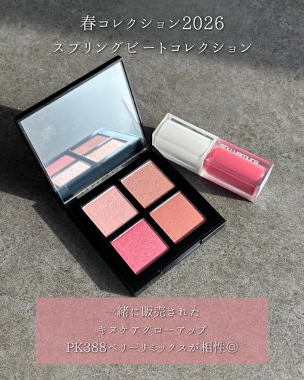 アイスカルプト/shu uemura/アイシャドウパレットを使ったクチコミ(7枚目)