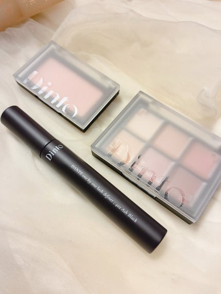 ブラーフィニシュシャドウパレット/Dinto/アイシャドウパレットを使ったクチコミ(6枚目)