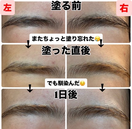 イージーブロウトーンチェンジャー/COSNORI/その他アイブロウを使ったクチコミ(3枚目)