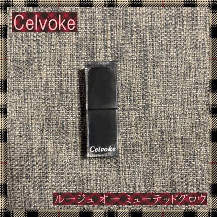 セルヴォーク ルージュ オー ミューテッドグロウ/Celvoke/口紅を使ったクチコミ(1枚目)