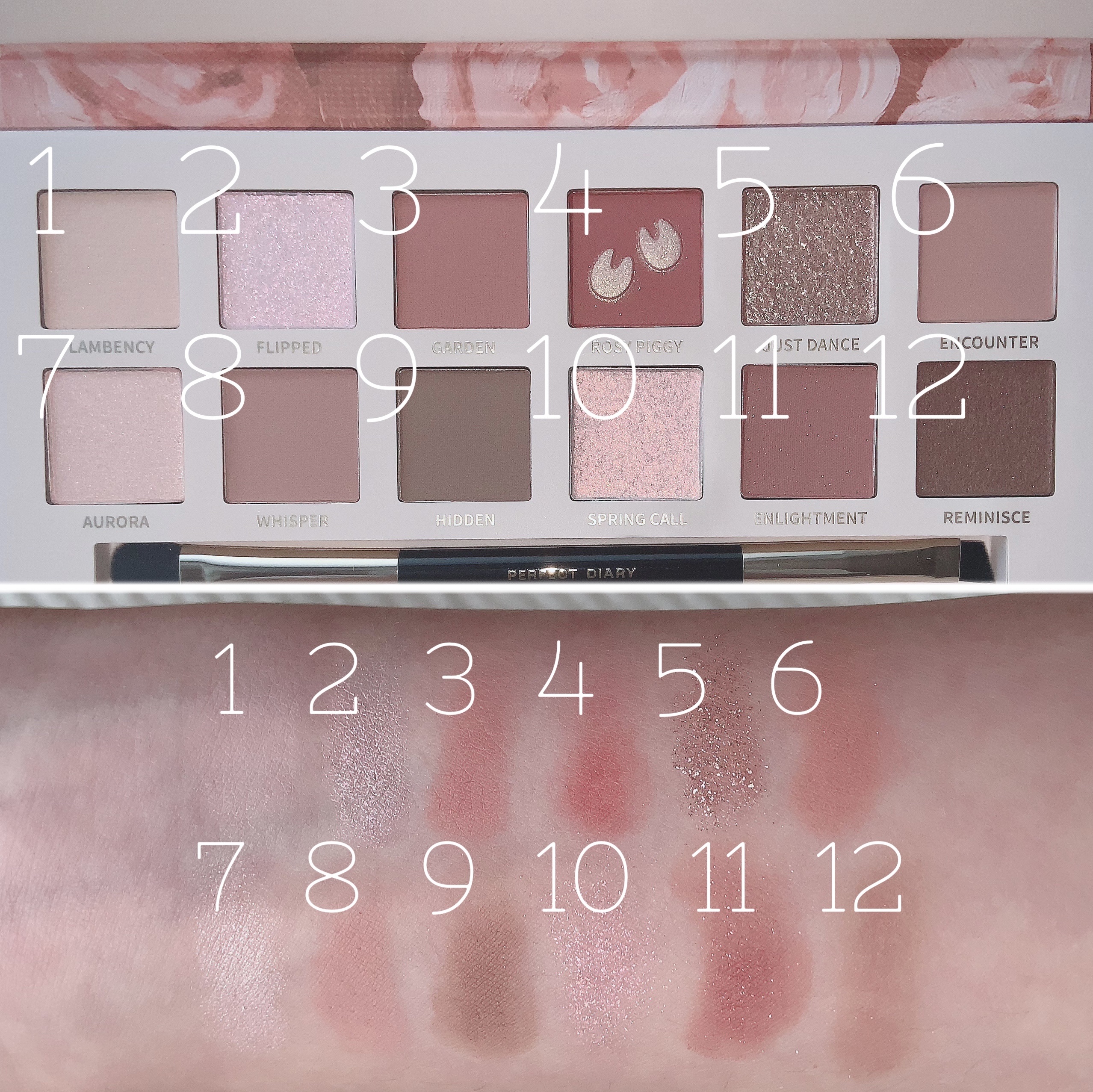 エクスプローラ12色 動物アイシャドウパレット/PERFECT DIARY/アイシャドウパレットを使ったクチコミ（2枚目）