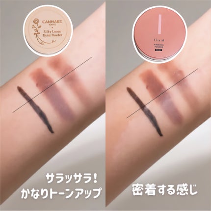 シルキールースモイストパウダー/キャンメイク/ルースパウダーを使ったクチコミ(5枚目)