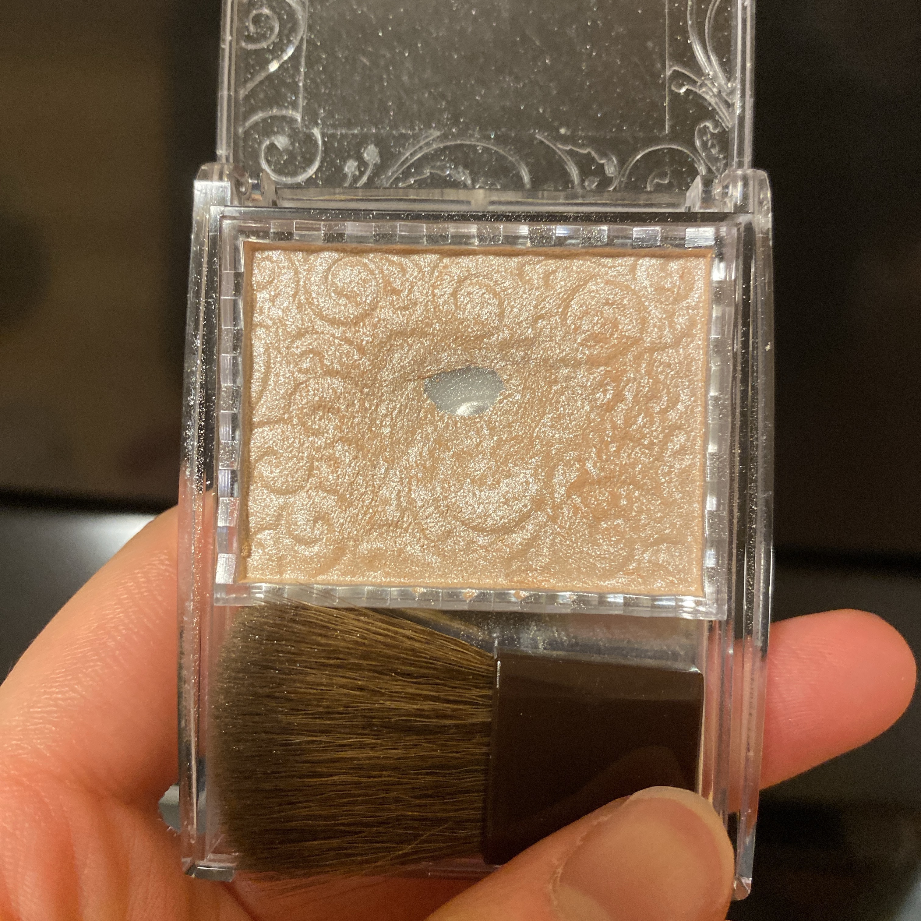 パールグロウハイライト/CEZANNE/パウダーハイライトを使ったクチコミ（1枚目）