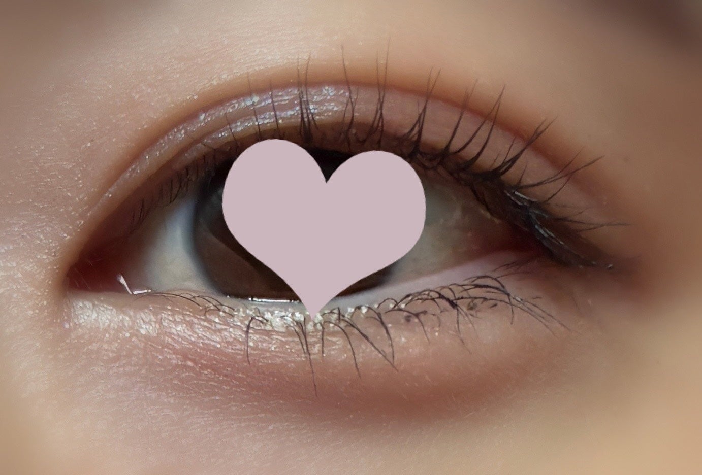 ã·ã«ããŒãªãããã¢ã€ã©ã€ããŒWP/D-UP/ãªãããã¢ã€ã©ã€ããŒã䜿ã£ãã¯ãã³ãïŒ1æç®ïŒ