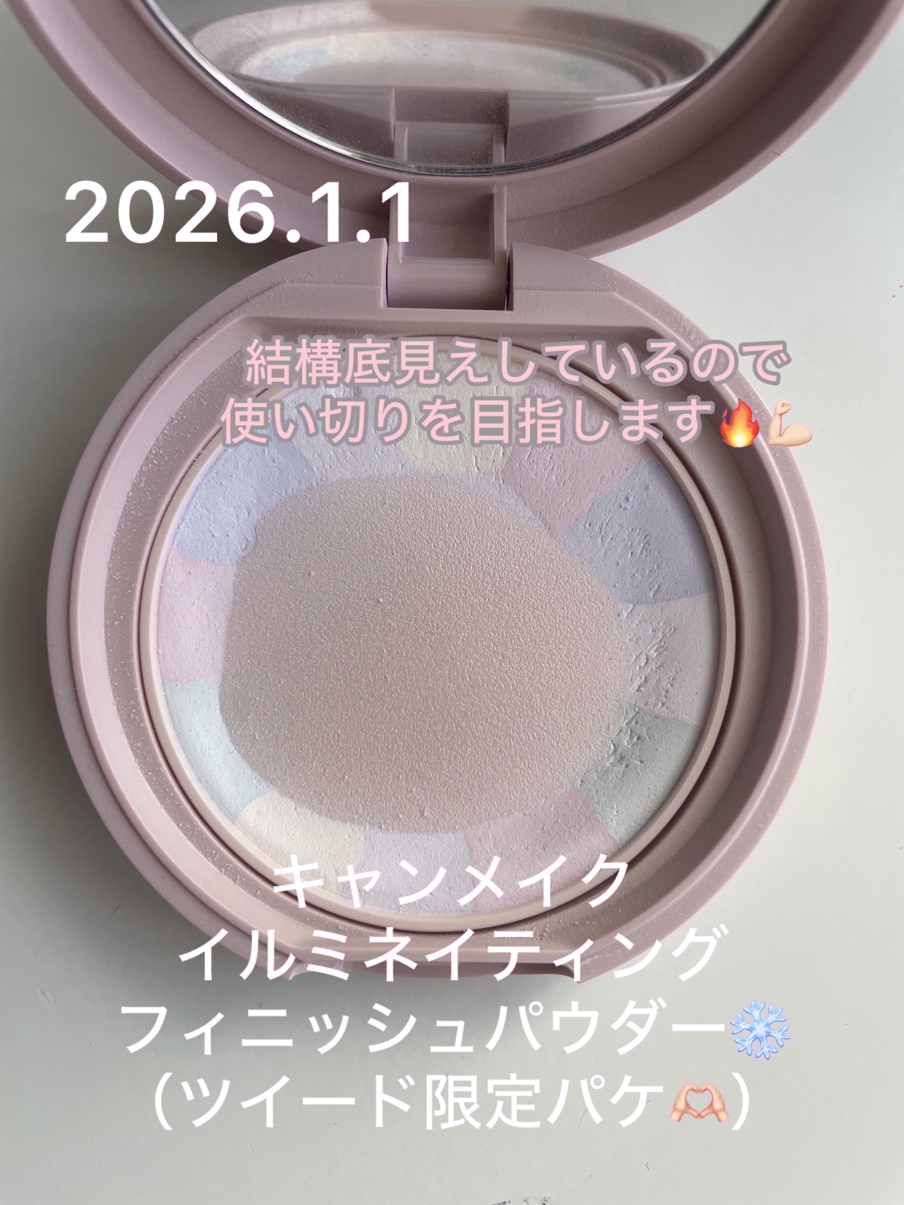 ミネラルクラッシィシャドー/エトヴォス/アイシャドウパレットを使ったクチコミ（2枚目）