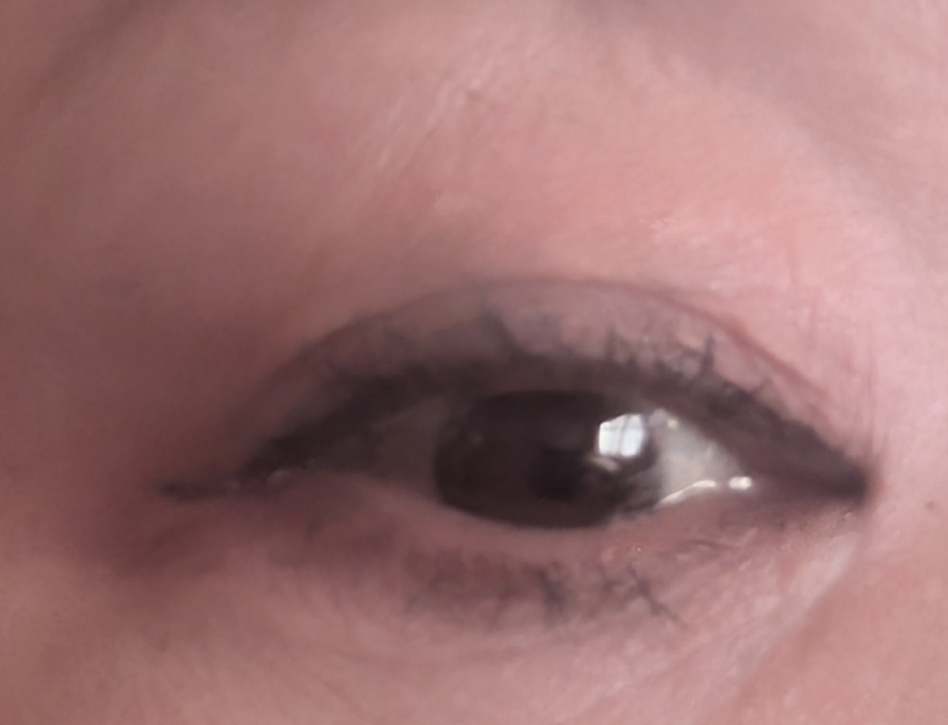 ケイト ラッシュバースト/KATE/マスカラを使ったクチコミ（2枚目）