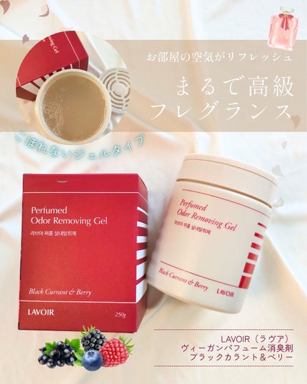 ジェルタイプ室内消臭剤/LAVOIR/ルームフレグランスを使ったクチコミ(1枚目)