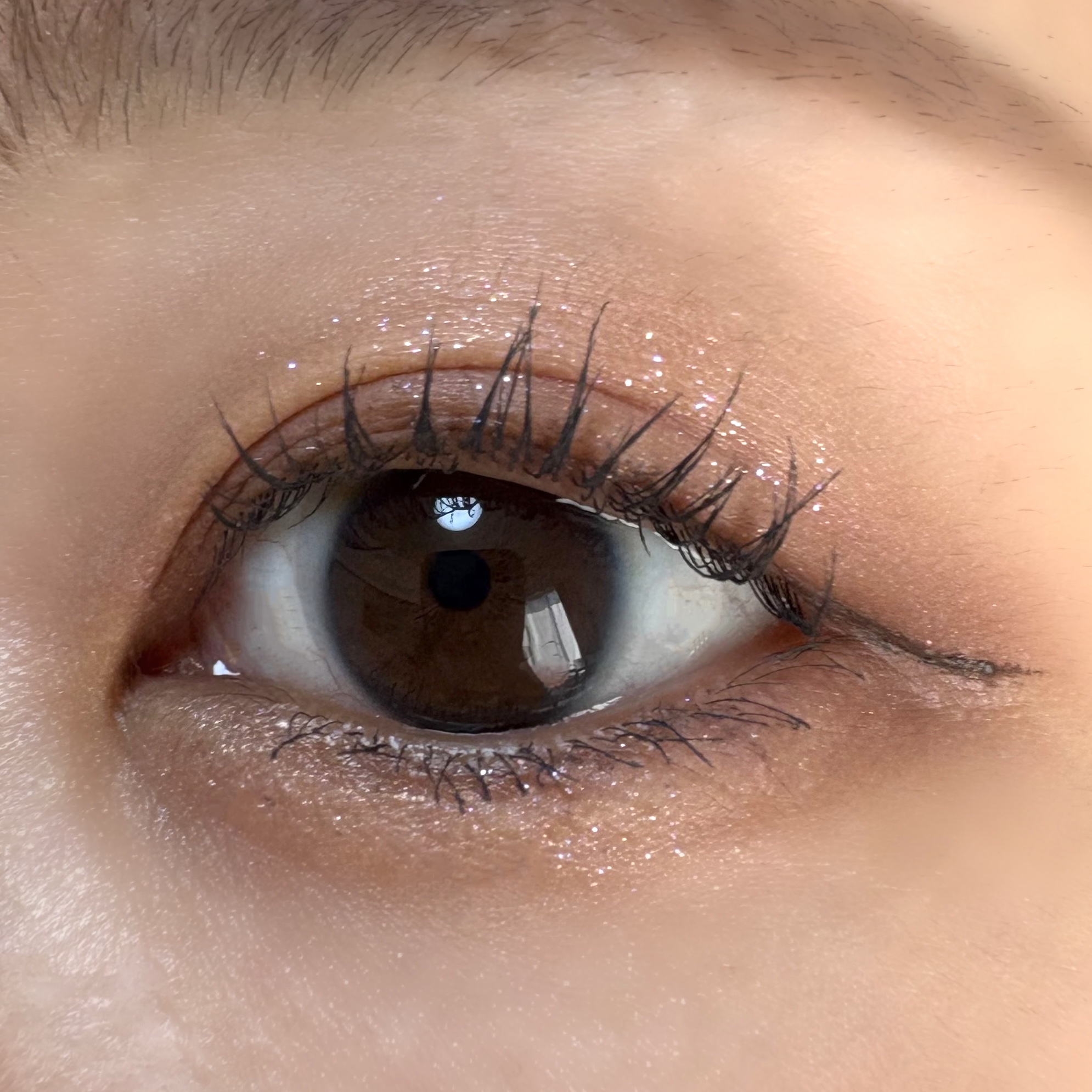 ブラーフィニシュシャドウパレット/Dinto/アイシャドウパレットを使ったクチコミ（3枚目）