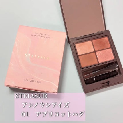 アンノウンアイズ/STEIASUR(ステイアシュール)/アイシャドウパレットを使ったクチコミ(1枚目)