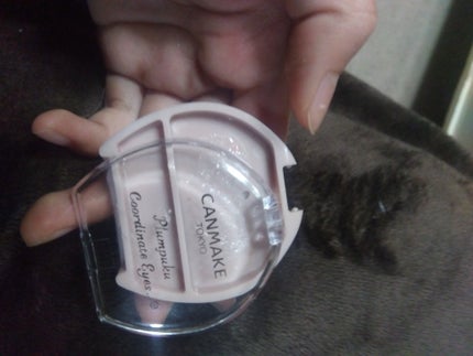 プランぷくコーデアイズNeo/キャンメイク/アイシャドウを使ったクチコミ(3枚目)