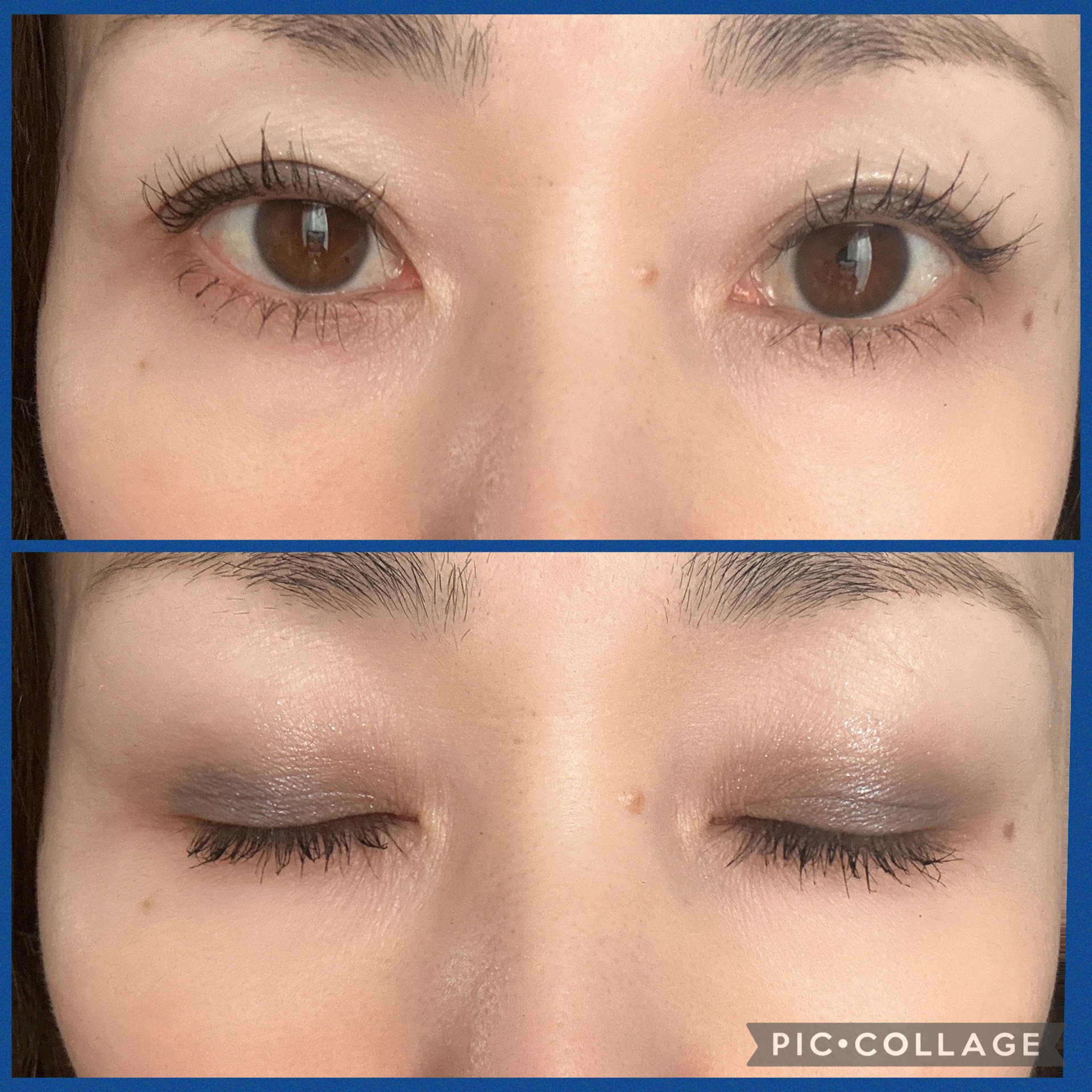 エクスプローラ12色 動物アイシャドウパレット/PERFECT DIARY/アイシャドウパレットを使ったクチコミ（3枚目）