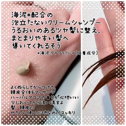 スパタイム クリームシャンプー (ディープクレンジング)/Spa time/市販シャンプーを使ったクチコミ(2枚目)