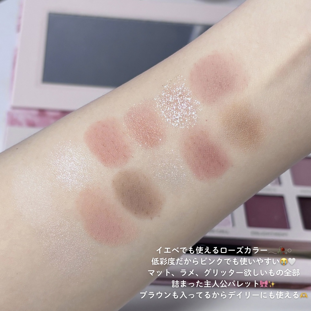 エクスプローラ12色 動物アイシャドウパレット/PERFECT DIARY/アイシャドウパレットを使ったクチコミ（3枚目）