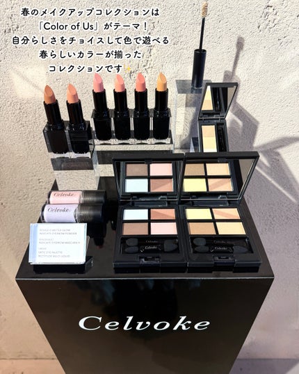 セルヴォーク インディケイト アイブロウマスカラ H/Celvoke/眉マスカラを使ったクチコミ(3枚目)