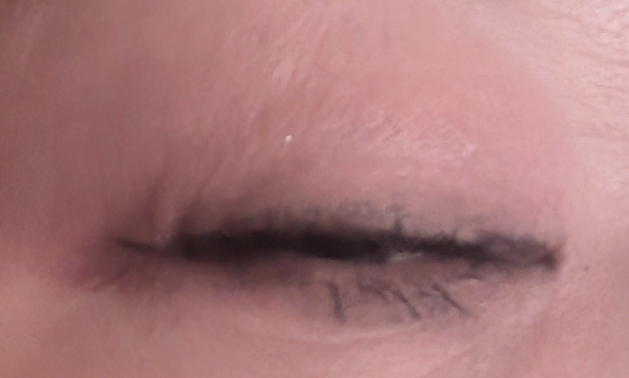 ケイト ラッシュバースト/KATE/マスカラを使ったクチコミ（3枚目）