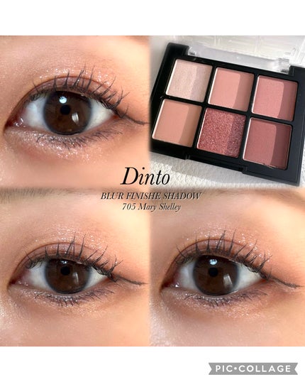 ブラーフィニシュシャドウパレット/Dinto/アイシャドウパレットを使ったクチコミ(1枚目)