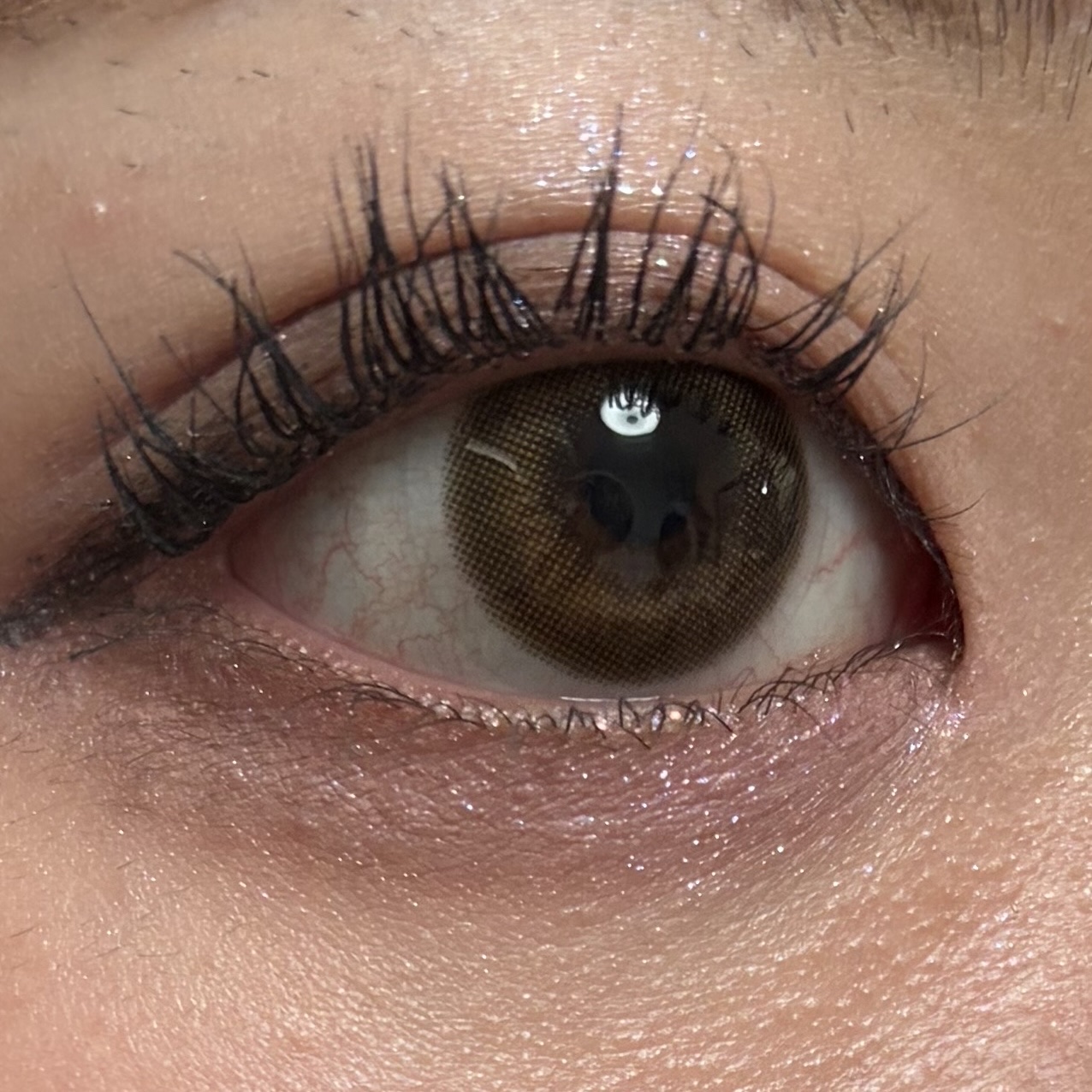 ラルム シリコーンハイドロゲル ダブルモイストUV ワンデー/LARME/カラーコンタクトレンズを使ったクチコミ（3枚目）