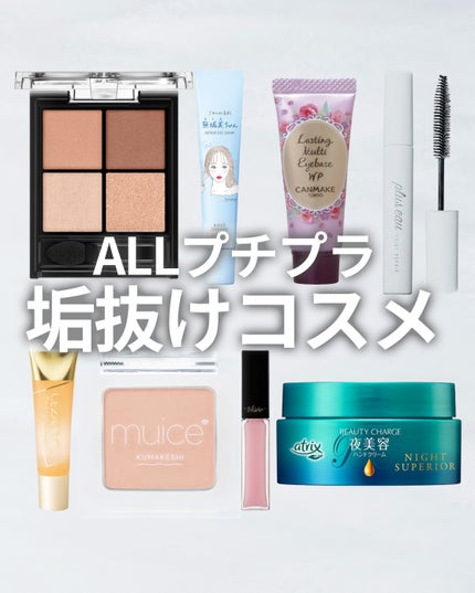 ラスティングマルチアイベース WP/キャンメイク/アイシャドウベースを使ったクチコミ(1枚目)