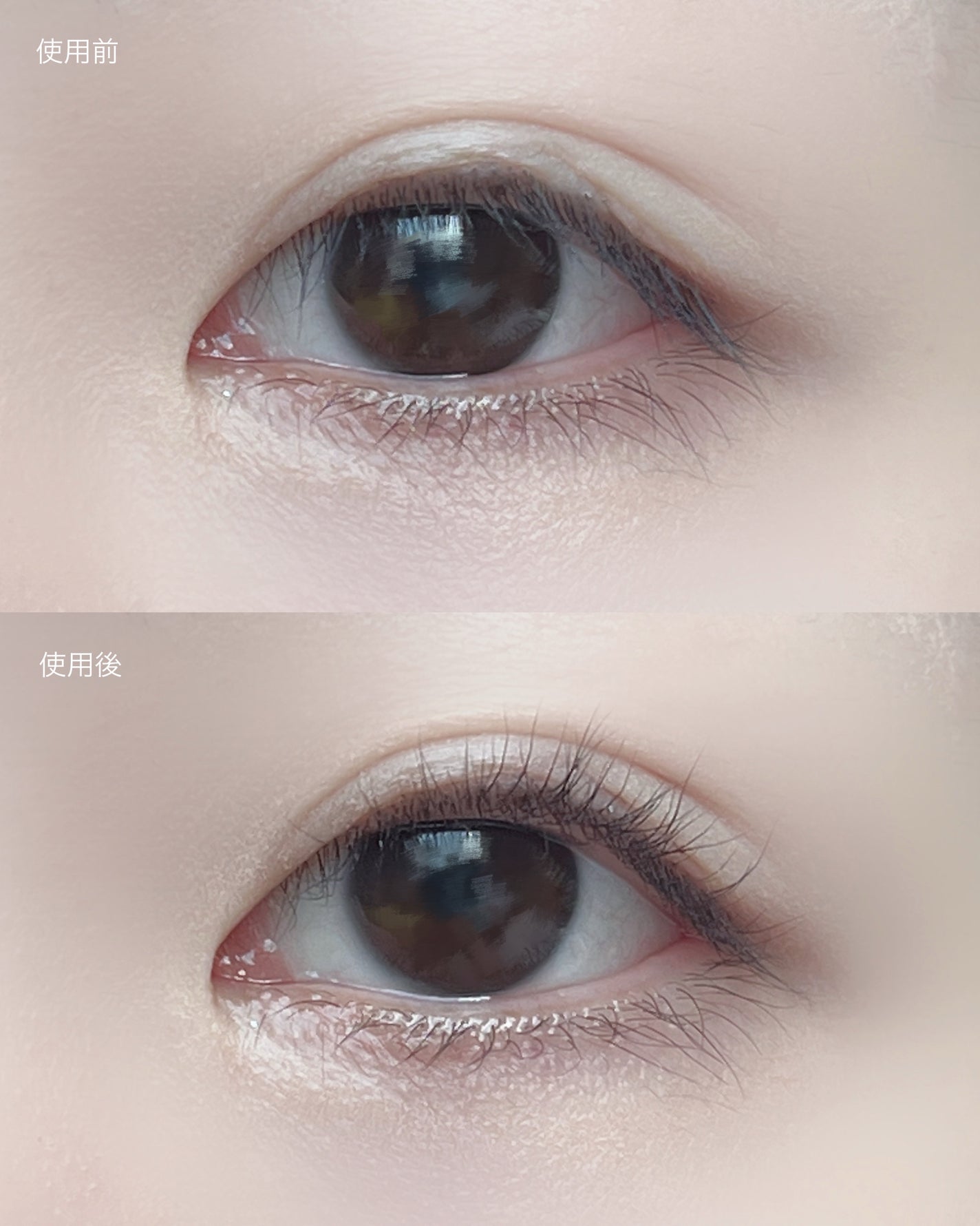 はさんであがるヒートカーラー/SHOBIDO/ホットビューラーを使ったクチコミ(5枚目)