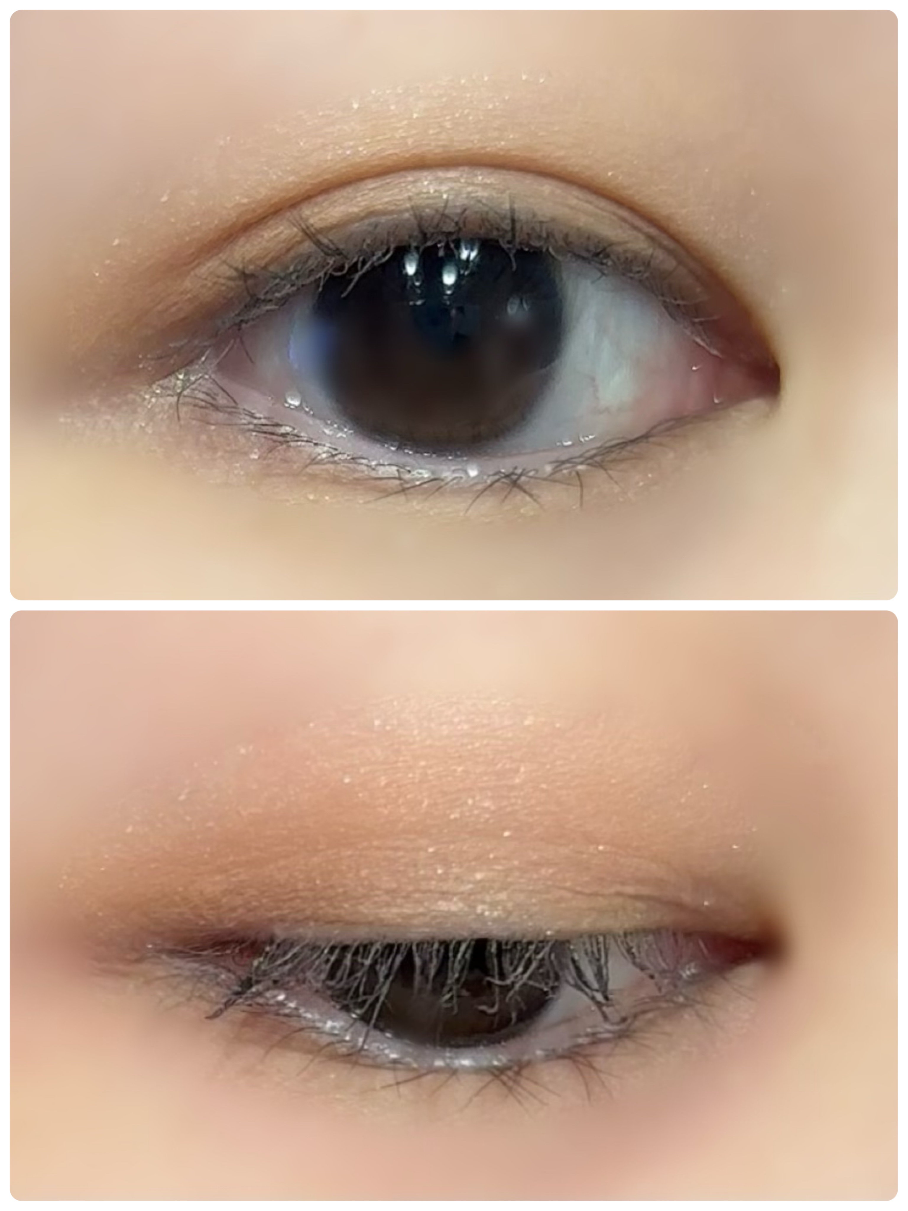 SHOBIDO ちいかわ リボンシリーズ アイシャドウパレットのクチコミ「SHOBIDO ちいかわ リボンシリーズ アイシャドウパレット うさぎ です


ちいかわ好き.....」（2枚目）