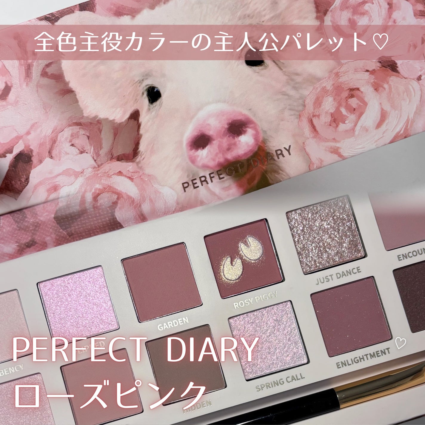 エクスプローラ12色 動物アイシャドウパレット/PERFECT DIARY/アイシャドウパレットを使ったクチコミ(1枚目)