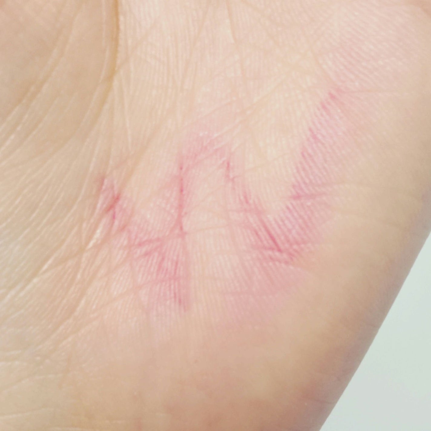 テクノサテン ジェル リップスティック/SHISEIDO/口紅を使ったクチコミ(5枚目)