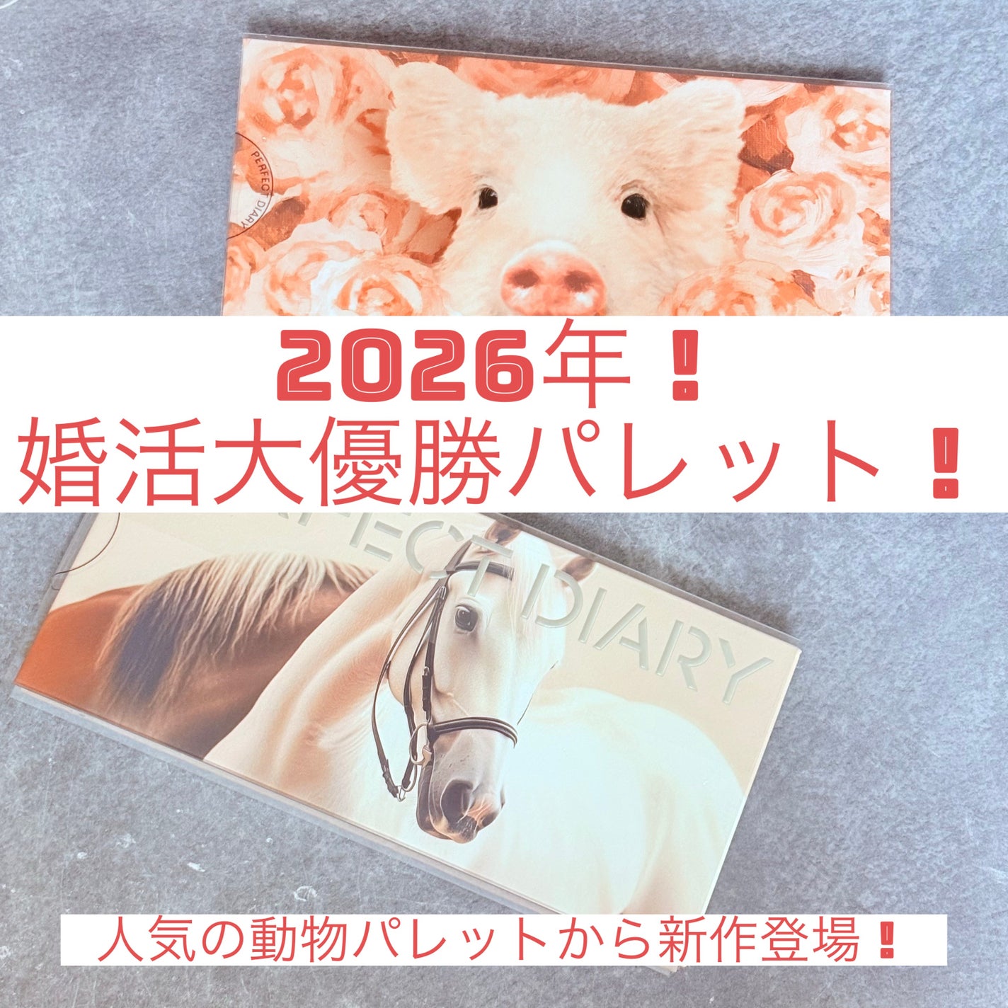 エクスプローラ12色 動物アイシャドウパレット/PERFECT DIARY/アイシャドウパレットを使ったクチコミ(1枚目)