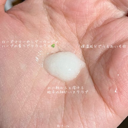 ローズマリー スカルプ スクラブ/AROMATICA/ヘッドスクラブを使ったクチコミ(6枚目)