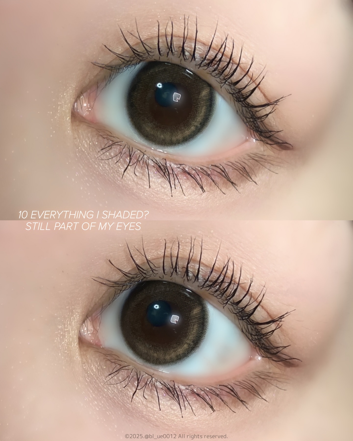 オール テイク ムード パレット(24AD)/PERIPERA/アイシャドウパレットを使ったクチコミ（3枚目）