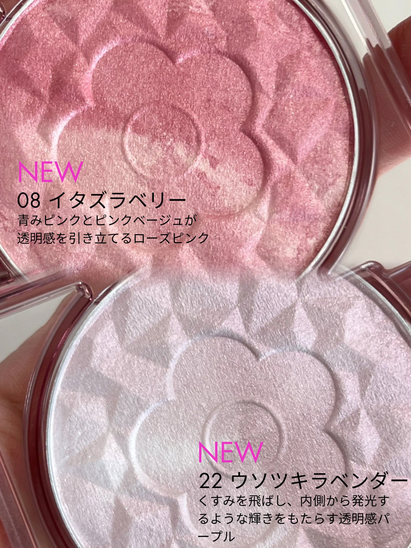 デイジードール パウダー ブラッシュ ブルーム/DAISY DOLL by MARY QUANT/パウダーチークを使ったクチコミ(2枚目)